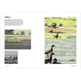 How to Draw a River: from the Source to the Sea i gruppen Hobby & Kreativitet / Bøger / Instruktionsbøger hos Pen Store (136292)