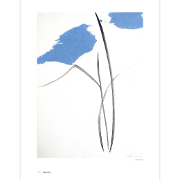 The Art of Sumi-e i gruppen Hobby & Kreativitet / Bøger / Inspirationsbøger hos Pen Store (136293)