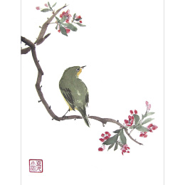 The Art of Sumi-e i gruppen Hobby & Kreativitet / Bøger / Inspirationsbøger hos Pen Store (136293)