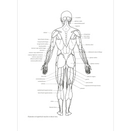 Figure Drawing: A Complete Guide i gruppen Hobby & Kreativitet / Bøger / Inspirationsbøger hos Pen Store (136294)