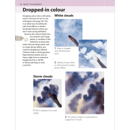 The Watercolour Artist's Bible i gruppen Hobby & Kreativitet / Bøger / Instruktionsbøger hos Pen Store (136295)