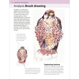 The Watercolour Artist's Bible i gruppen Hobby & Kreativitet / Bøger / Instruktionsbøger hos Pen Store (136295)