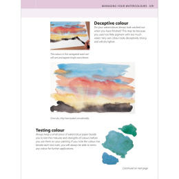 The Watercolour Artist's Bible i gruppen Hobby & Kreativitet / Bøger / Instruktionsbøger hos Pen Store (136295)