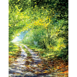 The Art of Gouache i gruppen Hobby & Kreativitet / Bøger / Instruktionsbøger hos Pen Store (136297)