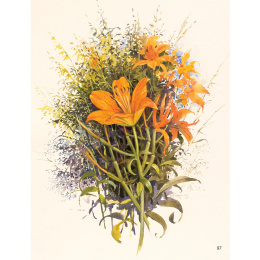 The Art of Gouache i gruppen Hobby & Kreativitet / Bøger / Instruktionsbøger hos Pen Store (136297)