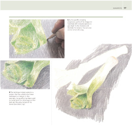 The Encyclopedia of Coloured Pencil Techniques i gruppen Hobby & Kreativitet / Bøger / Instruktionsbøger hos Pen Store (136298)