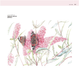 The Encyclopedia of Coloured Pencil Techniques i gruppen Hobby & Kreativitet / Bøger / Instruktionsbøger hos Pen Store (136298)