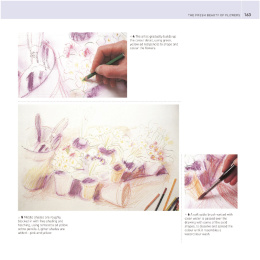 The Encyclopedia of Coloured Pencil Techniques i gruppen Hobby & Kreativitet / Bøger / Instruktionsbøger hos Pen Store (136298)