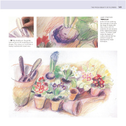 The Encyclopedia of Coloured Pencil Techniques i gruppen Hobby & Kreativitet / Bøger / Instruktionsbøger hos Pen Store (136298)