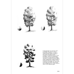 Drawing - A Complete Guide: Nature i gruppen Hobby & Kreativitet / Bøger / Inspirationsbøger hos Pen Store (136307)