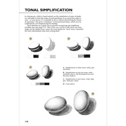 Drawing - A Complete Guide: Nature i gruppen Hobby & Kreativitet / Bøger / Inspirationsbøger hos Pen Store (136307)