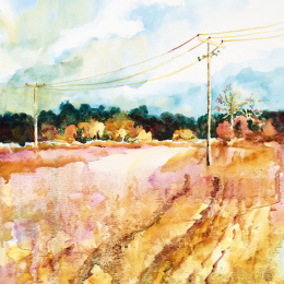 The Innovative Artist: Capturing Light i gruppen Hobby & Kreativitet / Bøger / Instruktionsbøger hos Pen Store (136308)