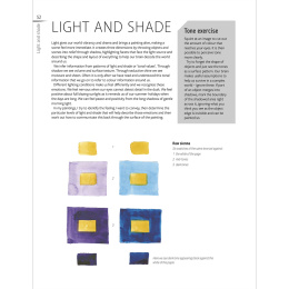 The Innovative Artist: Capturing Light i gruppen Hobby & Kreativitet / Bøger / Instruktionsbøger hos Pen Store (136308)