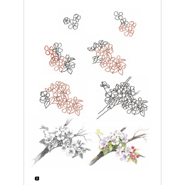 Draw 100: Flowers i gruppen Hobby & Kreativitet / Bøger / Inspirationsbøger hos Pen Store (136315)