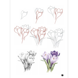 Draw 100: Flowers i gruppen Hobby & Kreativitet / Bøger / Inspirationsbøger hos Pen Store (136315)