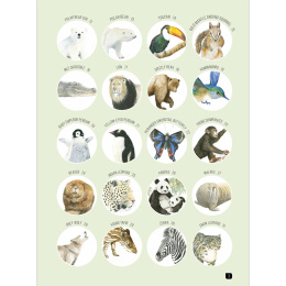 Draw 100: Animals i gruppen Hobby & Kreativitet / Bøger / Inspirationsbøger hos Pen Store (136316)