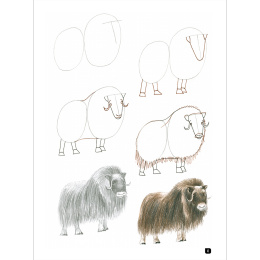 Draw 100: Animals i gruppen Hobby & Kreativitet / Bøger / Inspirationsbøger hos Pen Store (136316)