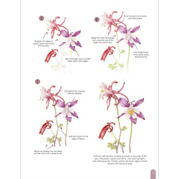 Paint 50: Watercolour Flowers i gruppen Hobby & Kreativitet / Bøger / Instruktionsbøger hos Pen Store (136318)