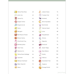 Paint 50: Watercolour Flowers i gruppen Hobby & Kreativitet / Bøger / Instruktionsbøger hos Pen Store (136318)