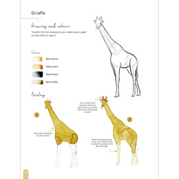 Paint 50: Watercolour Animals i gruppen Hobby & Kreativitet / Bøger / Instruktionsbøger hos Pen Store (136319)