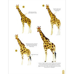 Paint 50: Watercolour Animals i gruppen Hobby & Kreativitet / Bøger / Instruktionsbøger hos Pen Store (136319)