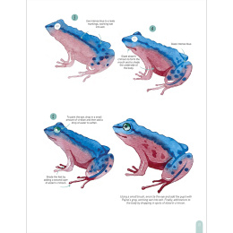 Paint 50: Watercolour Animals i gruppen Hobby & Kreativitet / Bøger / Instruktionsbøger hos Pen Store (136319)