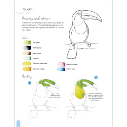 Paint 50: Watercolour Animals i gruppen Hobby & Kreativitet / Bøger / Instruktionsbøger hos Pen Store (136319)