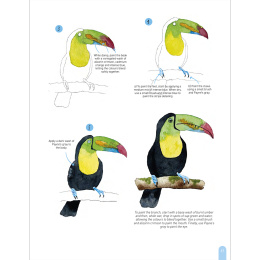 Paint 50: Watercolour Animals i gruppen Hobby & Kreativitet / Bøger / Instruktionsbøger hos Pen Store (136319)