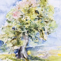 Nature in Watercolour i gruppen Hobby & Kreativitet / Bøger / Inspirationsbøger hos Pen Store (136320)