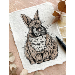 The Kew Book of Drawing Flora and Fauna i gruppen Hobby & Kreativitet / Bøger / Instruktionsbøger hos Pen Store (136328)