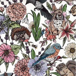 The Kew Book of Drawing Flora and Fauna i gruppen Hobby & Kreativitet / Bøger / Instruktionsbøger hos Pen Store (136328)