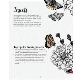 The Kew Book of Drawing Flora and Fauna i gruppen Hobby & Kreativitet / Bøger / Instruktionsbøger hos Pen Store (136328)