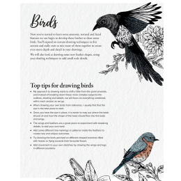 The Kew Book of Drawing Flora and Fauna i gruppen Hobby & Kreativitet / Bøger / Instruktionsbøger hos Pen Store (136328)