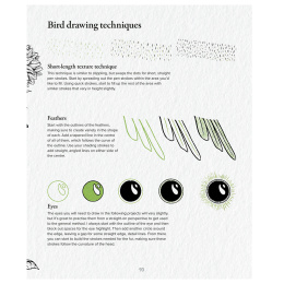 The Kew Book of Drawing Flora and Fauna i gruppen Hobby & Kreativitet / Bøger / Instruktionsbøger hos Pen Store (136328)