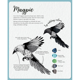 The Kew Book of Drawing Flora and Fauna i gruppen Hobby & Kreativitet / Bøger / Instruktionsbøger hos Pen Store (136328)