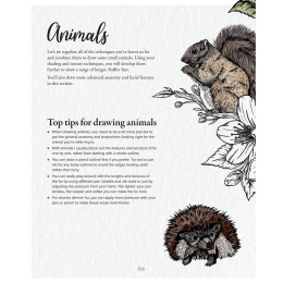 The Kew Book of Drawing Flora and Fauna i gruppen Hobby & Kreativitet / Bøger / Instruktionsbøger hos Pen Store (136328)