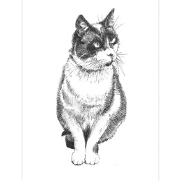 Pen and Ink Drawing Techniques i gruppen Hobby & Kreativitet / Bøger / Inspirationsbøger hos Pen Store (136330)