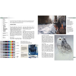 Complete Guide to Acrylics i gruppen Hobby & Kreativitet / Bøger / Instruktionsbøger hos Pen Store (136334)