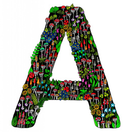 Draw Tiny & Make Great Art i gruppen Hobby & Kreativitet / Bøger / Inspirationsbøger hos Pen Store (136335)