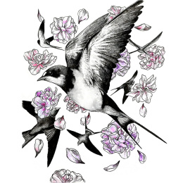 Illustration Akvarelsæt i gruppen Kunstnerartikler / Kunstnerfarver / Akvarelmaling / Akvarelfarve i kop hos Pen Store (136421)