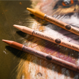 Pastel pencils set of 24 i gruppen Penne / Kunstnerpenne / Pastelblyanter hos Pen Store (136578)