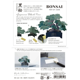 Bonsai popup-kort (Japanese black pine) i gruppen Hobby & Kreativitet / Højtider og sæsoner / Kort og kuverter hos Pen Store (136616)