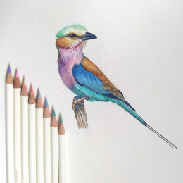 Irojiten Farveblyant enkeltvis i gruppen Penne / Kunstnerpenne / Farveblyanter  hos Pen Store (136687_r)