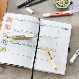 Swing Cool Nature 6-pak i gruppen Penne / Mærkning og kontor / Highlighters hos Pen Store (136796)