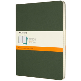 Cahier Notebook XL Green Linjeret i gruppen Papir & Blokke / Skriv og noter / Notesbøger hos Pen Store (136814)