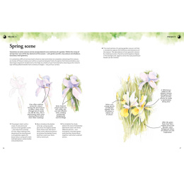 Learn to Draw in an Hour a Day i gruppen Hobby & Kreativitet / Bøger / Instruktionsbøger hos Pen Store (137176)