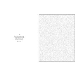 Mystery Coloring Mandalas i gruppen Hobby & Kreativitet / Bøger / Malebøger til voksne hos Pen Store (137182)