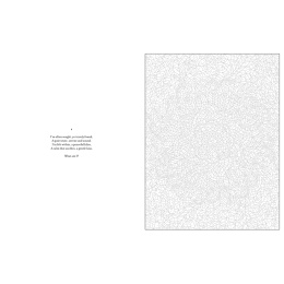 Mystery Coloring Mandalas i gruppen Hobby & Kreativitet / Bøger / Malebøger til voksne hos Pen Store (137182)