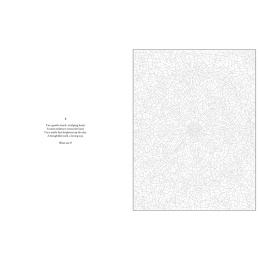 Mystery Coloring Mandalas i gruppen Hobby & Kreativitet / Bøger / Malebøger til voksne hos Pen Store (137182)