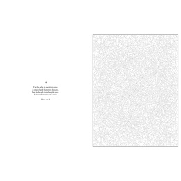 Mystery Coloring Mandalas i gruppen Hobby & Kreativitet / Bøger / Malebøger til voksne hos Pen Store (137182)